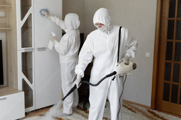 Best Crawl Space Mold Removal  in Pineland, TX